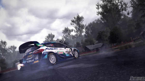 世界汽车拉力锦标赛10(图3)