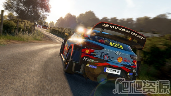 世界汽车拉力锦标赛8(图5)