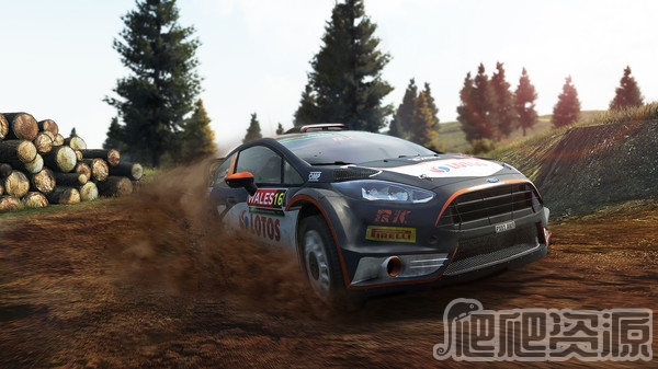 世界汽车拉力锦标赛5(图3)