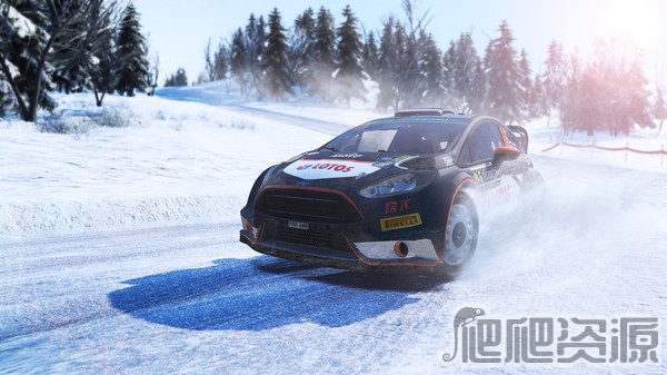 世界汽车拉力锦标赛5(图4)