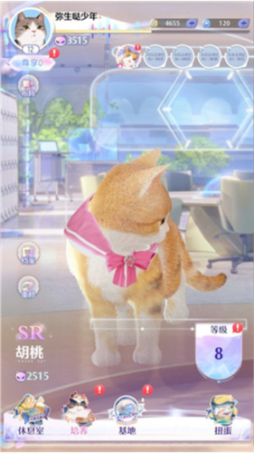 超喵星计划(图3)