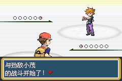 口袋妖怪叶绿中文珍藏版(图3)