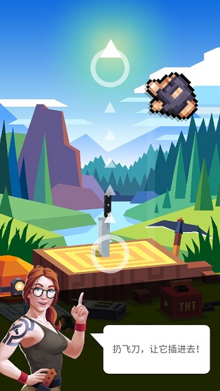 飞刀大挑战游戏(图1)