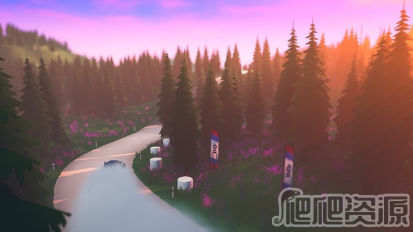 拉力赛艺术(图3)