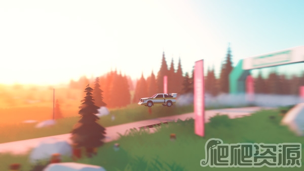 拉力赛艺术(图2)