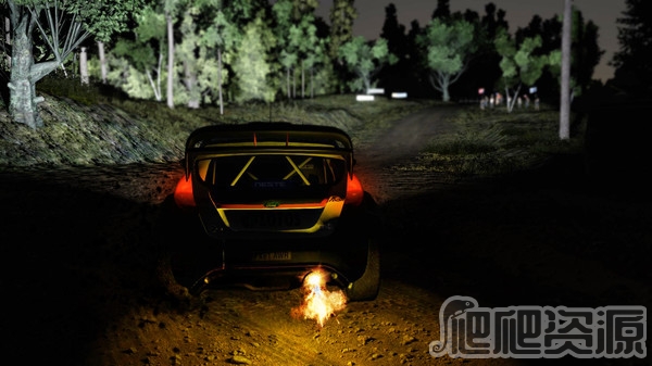 世界汽车拉力锦标赛5(图6)