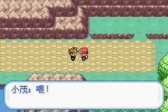 口袋妖怪叶绿中文珍藏版(图6)