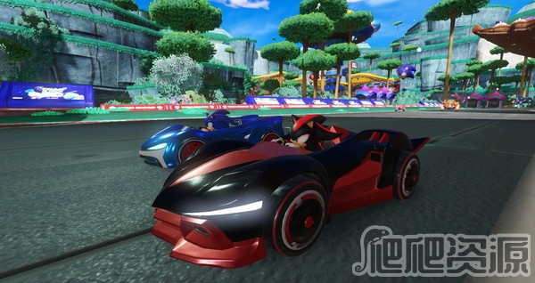 组队索尼克赛车(图2)