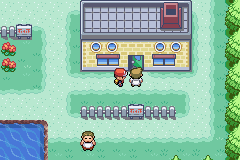 口袋妖怪叶绿中文珍藏版(图2)