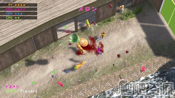 日本马拉松(图4)