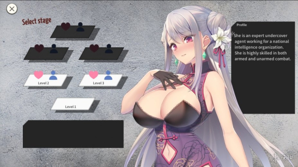 卧底女特工(图1)