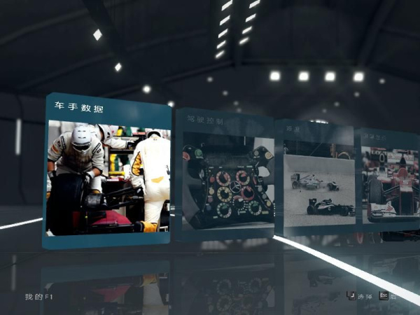 F1 2012(图1)