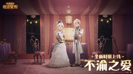 哈利波特魔法觉醒国际版