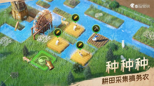 泰拉贝尔国际服