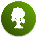 泰拉瑞亚官方版