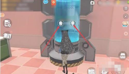 养了个猫官方正版(图5)