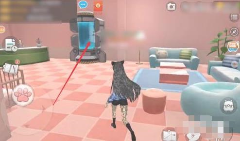 养了个猫官方正版(图4)