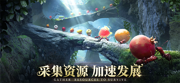 小小蚁国国际版(The Ants)